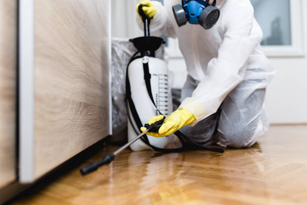 Pest Control for Restaurants in Sault Ste Marie, MI