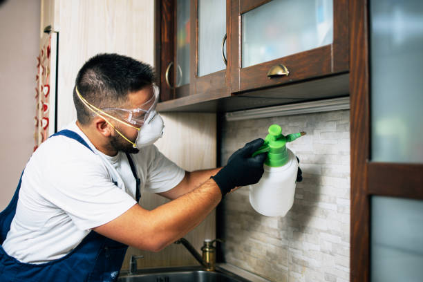 Best Wildlife Control Services  in Sault Ste Marie, MI