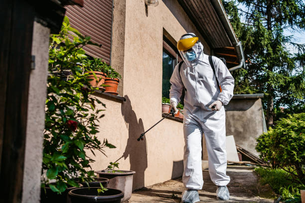 Best Mosquito Control Services  in Sault Ste Marie, MI