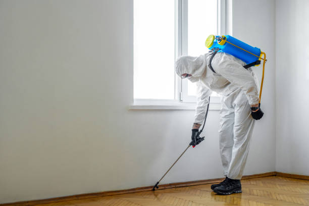 Professional Pest Control in Sault Ste Marie, MI