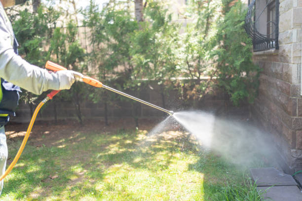 Best Affordable Pest Control Services  in Sault Ste Marie, MI