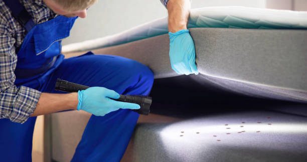 Best Best Pest Control Companies  in Sault Ste Marie, MI