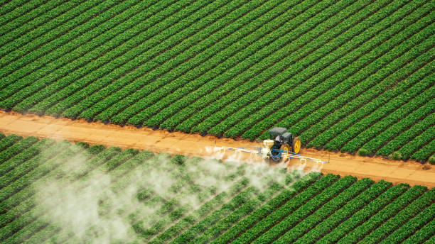 Best Mosquito Control Services  in Sault Ste Marie, MI