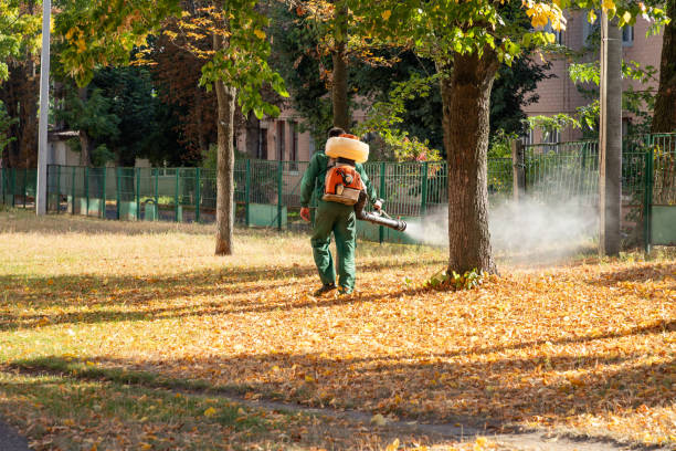 Best Affordable Pest Control Services  in Sault Ste Marie, MI