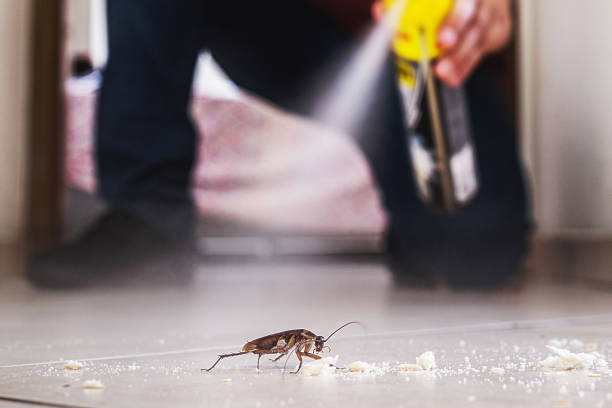 Best Wasp Removal Services  in Sault Ste Marie, MI